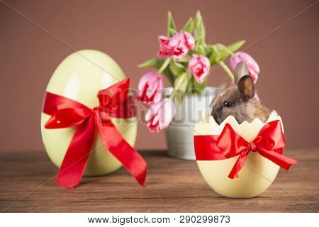 Easter Chickens In A Basket With Eggs. Ellow Easter Chickens In A Colorful Basket With Flowers.