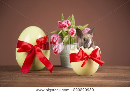 Easter rabbits. Colorful buckets