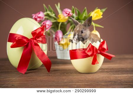 Easter rabbits. Colorful buckets