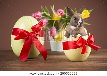 Easter Chickens In A Basket With Eggs. Ellow Easter Chickens In A Colorful Basket With Flowers.
