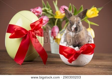 Easter rabbits. Colorful buckets