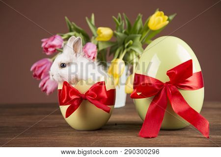 Easter rabbits. Colorful buckets