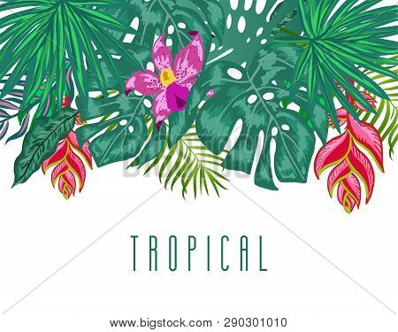 Green Summer Tropical Background With Exotic Palm Leaves, Hibiscus, Orchid And Heliconia Flowers, Pl
