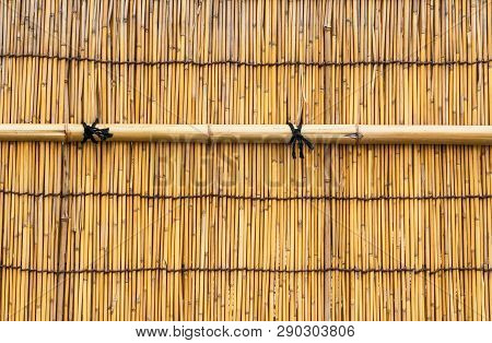 Yellow Bamboo cane wall with black knots as background