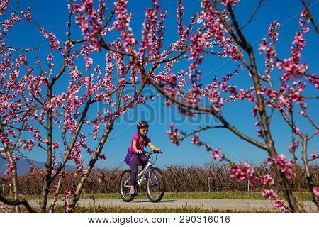 Cycling On The Flowering Peach Trees In The Veria Plain, Organized For The Third Time By The Veria T