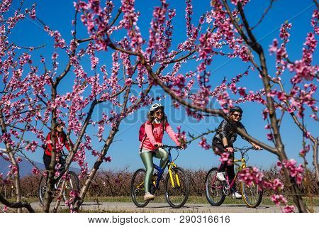 Cycling On The Flowering Peach Trees In The Veria Plain, Organized For The Third Time By The Veria T
