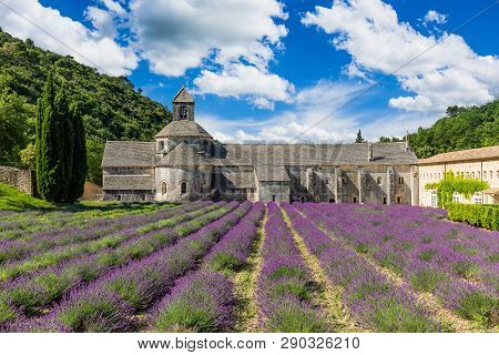 Provence, France. Blooming Purple Lavender Fields At Senanque Monastery.