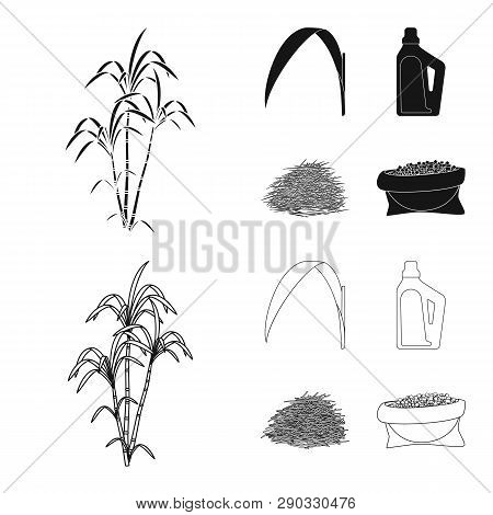 Vector Design Of Farm And Agriculture  Sign. Set Of Farm And Technology Stock Symbol For Web.