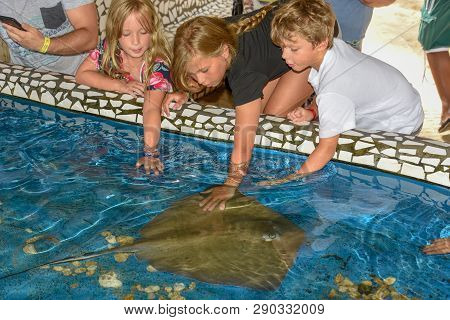Children Caressing Breed Fish On Project Tamar Tank At Praia Do Forte In Brazil