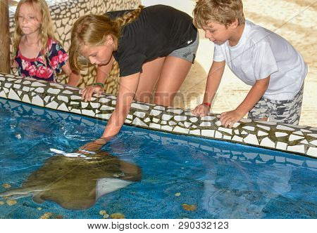 Children Caressing Breed Fish On Project Tamar Tank At Praia Do Forte In Brazil