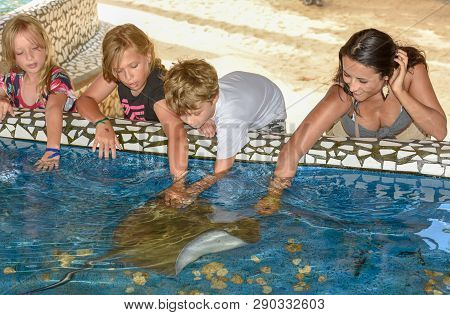 Woman And Children Caressing Breed Fish On Project Tamar Tank At Praia Do Forte In Brazil