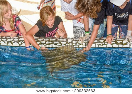Children Caressing Breed Fish On Project Tamar Tank At Praia Do Forte In Brazil