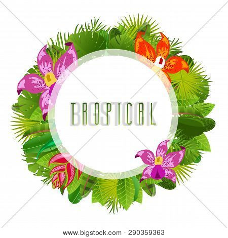 Green Summer Circle Tropical Background With Exotic Palm Leaves, Orchid, Hrliconia, And Hibiscus Flo