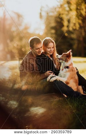 Cute Cuple With Dog Border Collie On Green Field In Park Under Tree In Sunshine