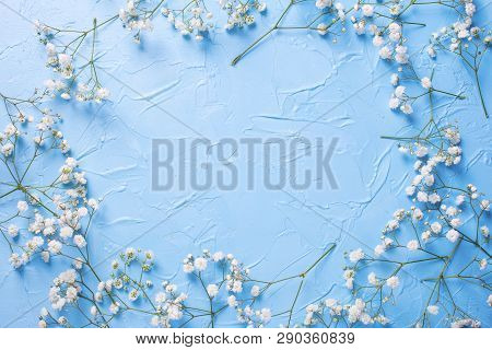Frame  From Tender  White Gypsofila  Flowers On Blue Textured Background. Top View. Flat Lay. Place 