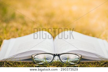 Camping With A Book. Reading Lying On The Grass Under The Sun.