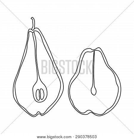 Vector Illustration Of Pear And Dry Icon. Collection Of Pear And Organic Stock Vector Illustration.
