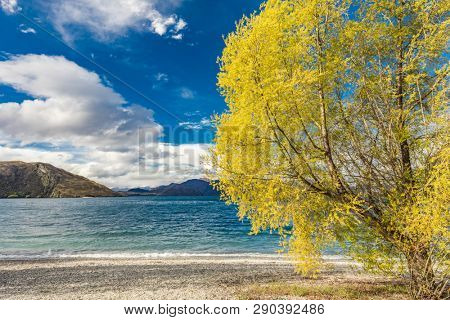 New Zealand landscape, Lake Wanaka, Glendhu Bay - lake and trees