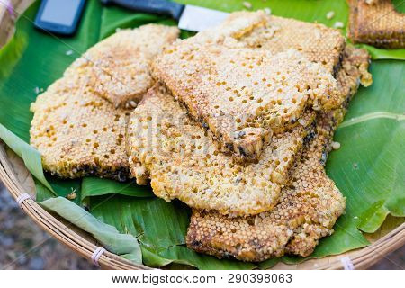 Thai Alive Worms In Honeycomb