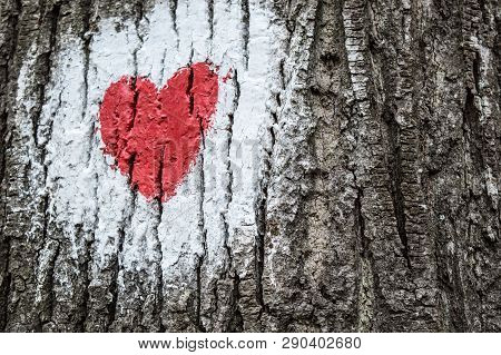 Hike Mark Painted On Tree Bark, Hiking Signs, Hiking Marks. White Circle And Red Heart - Hike Path S