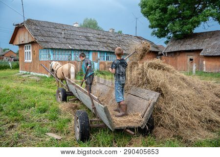 Litynia Village, Ukraine - June 02, 2018: Two 10 Years Old Boys Working Near Hay. Making Stock Hay F
