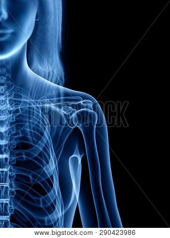 3d rendered medically accurate illustration of the skeletal 