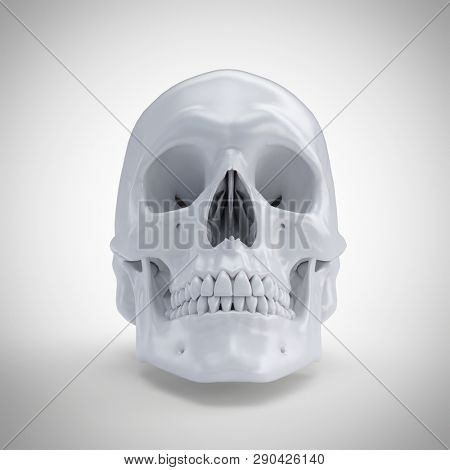 3d rendered medically accurate illustration of a human skull