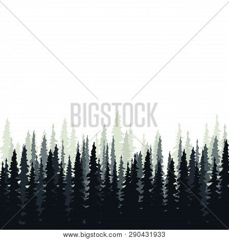 Forest In The Background, Background In Monochrome Colors