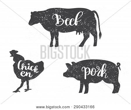 Chicken, Cow And Pig Silhouettes With Lettering Text Beef, Chicken, Pork. Can Be Used For Menu, Butc