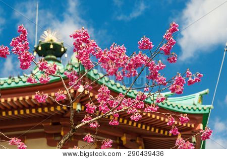 Tokyo, Japan - March 12: Spring In Ueno Park. Blooming Cherry Pink Flowers In Front Of Benten Temple