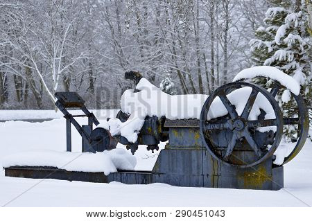 Deas Island Regional Park. Ladner, British Columbia. After A Large Snow Fall Covered Everything In S