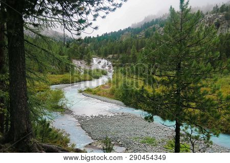Mountain River In The Forest. Kucherla River In Belukha National Park, Altai Mountains, Siberia, Rus