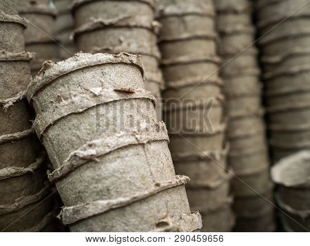 Pots For Seedling From Ecological Cardboard. Peat Pots For Seeds. Pots On A Counter Of Shop