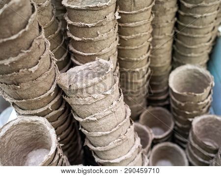 Pots For Seedling From Ecological Cardboard. Peat Pots For Seeds. Pots On A Counter Of Shop