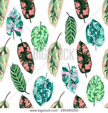 Seamless Pattern Tropical Leaves Diffenbachia Collection. Vector Isolated Elements On The White Back