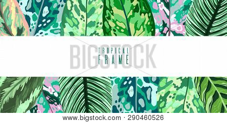 Frame Tropical Leaves Diffenbachia Collection. Vector Isolated Elements On The White Background. Lea