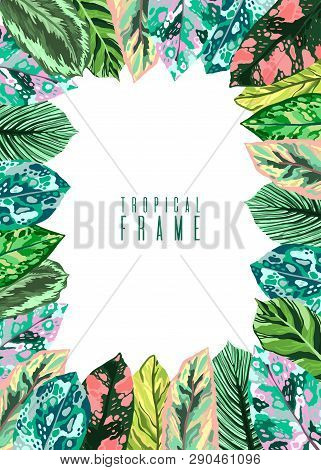 Frame Tropical Leaves Diffenbachia Collection. Vector Isolated Elements On The White Background. Lea