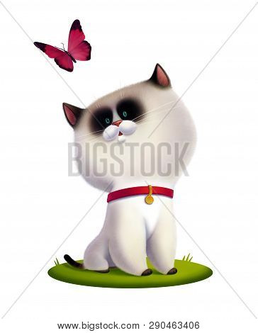 Isolated Children Illustration Of White Kitten Looking At Pink Butterfly