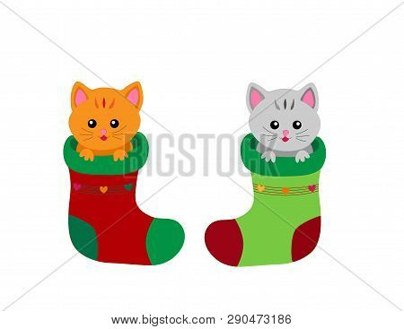 Two Kittens Sit In Different Colored Socks