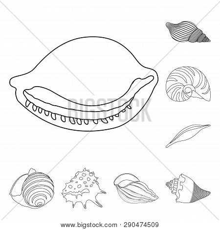 Vector Design Of Exotic And Seafood  Logo. Set Of Exotic And Aquatic Vector Icon For Stock.