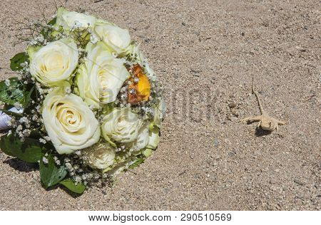 Closeup Of Egyptian Desert Agama Lizard In Harsh Arid Environment With Bouquet Of Wedding Flowers