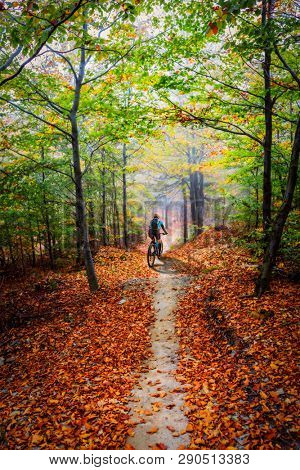 Mountain biking woman riding on bike in autumn mountains forest landscape. Woman cycling MTB flow trail track. Outdoor sport activity.