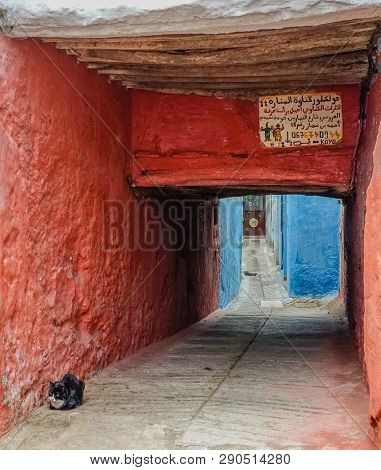 Tetuan, Morocco, Africa - February 15, 2016: Passage In The Medina Of Tetuan, With A Cat In The Midd
