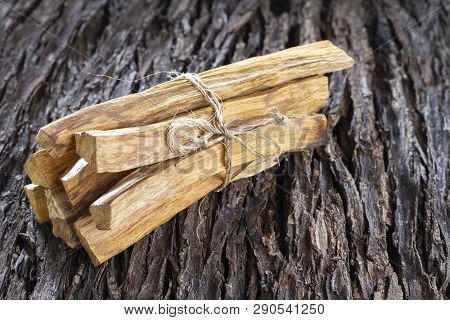 Bursera Graveolens, Essence And Resin. In Spanish (