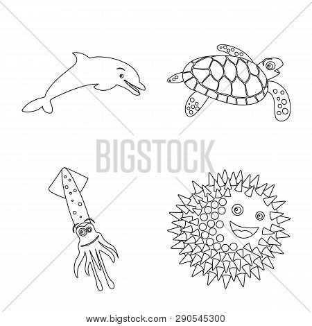 Vector Illustration Of Sea And Animal Logo. Collection Of Sea And Marine Vector Icon For Stock.