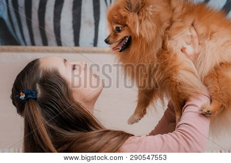 Teenage Girl With A Dog Breed Spitz Rejoices With A Pet At Home On The Floor. Care And Training Of A