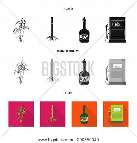 Isolated Object Of Farm And Agriculture  Icon. Set Of Farm And Technology Vector Icon For Stock.