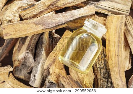 Palo Santo Oil, Top View - Bursera Graveolens
