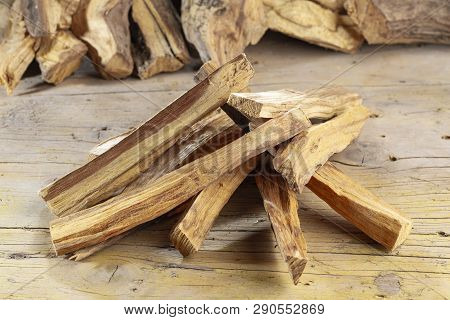 Sacred Wood 
