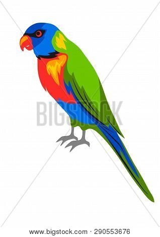 Illustration Of Rainbow Lorikeet. Tropical Exotic Bird Isolated On White Background.